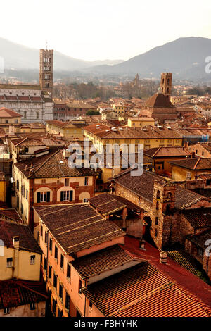 Tetto a vista sulla cittadina rinascimentale di Lucca, Toscana, Italia Foto Stock