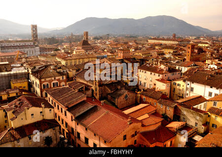 Tetto a vista sulla cittadina rinascimentale di Lucca, Toscana, Italia Foto Stock