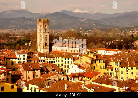 Tetto a vista sulla cittadina rinascimentale di Lucca, Toscana, Italia Foto Stock