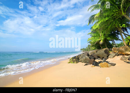 Pietre e palme su una spiaggia di sabbia di Gala in Sri Lanka Foto Stock