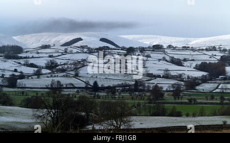 Coperta di neve Fells che mostra le linee di parete e due piazze di boschi gestiti con valle verde in primo piano Cumbria Inghilterra England Foto Stock