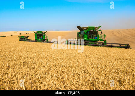 Più John Deere combina la raccolta dei cereali nella regione Palouse di Washington Foto Stock