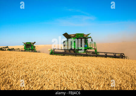 Più John Deere combina la raccolta dei cereali nella regione Palouse di Washington Foto Stock