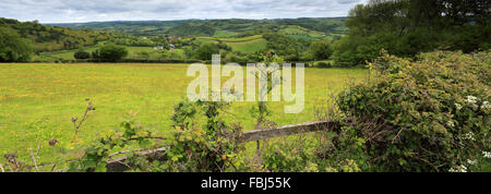 Estate, fiume Teign Valley vicino a basso Ashton village, Teignbridge distretto, Parco Nazionale di Dartmoor, della Contea di Devon, Inghilterra, Regno Unito Foto Stock