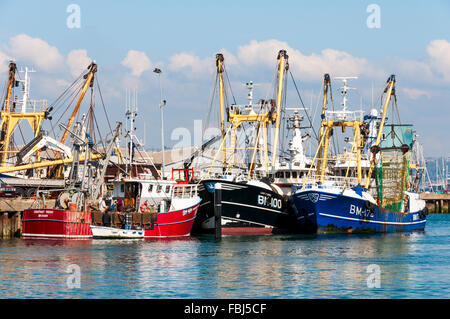 L'equipaggio del dipinto di rosso costante di peschereccio di Amico sono dominato da due grandi letti sfogliare in occupato il porto di Brixham Foto Stock