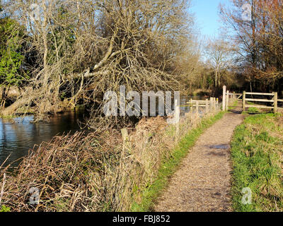 Il modo Itchen sentiero visto tra Hockley e Shawford vicino a Winchester segue il fiume Itchen Itchen e navigazione. Foto Stock