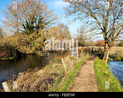 Il modo Itchen sentiero visto tra Hockley e Shawford vicino a Winchester segue il fiume Itchen Itchen e navigazione. Foto Stock