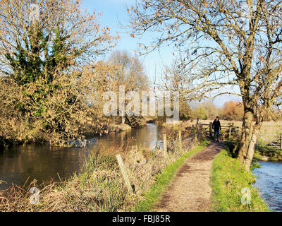 Il modo Itchen sentiero visto tra Hockley e Shawford vicino a Winchester segue il fiume Itchen Itchen e navigazione. Foto Stock