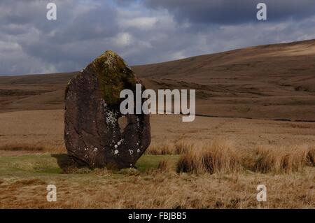 Maen Llúria, pietra permanente. Vicino Ystradfellte, Brecon Beacons, Wales, Regno Unito. Foto Stock