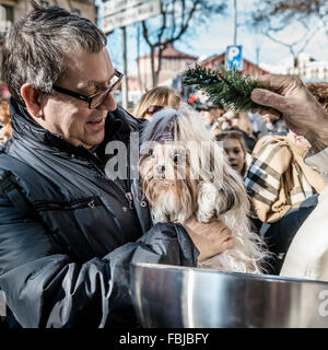 Un cane prende parte alla benedizione annuale degli animali evento presso Escola Pia Sant Antoni di Barcellona alla festa di San Anton, il santo patrono degli animali Foto Stock