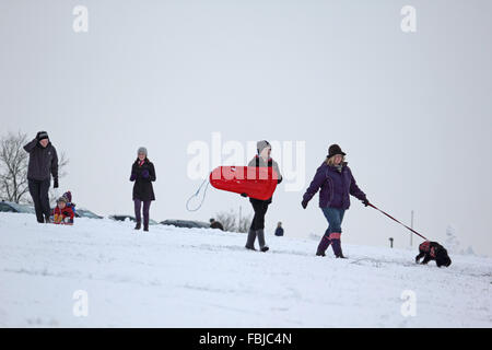 Epsom Downs, Surrey, Regno Unito. Il 17 gennaio 2016. Godendo della neve su Epsom Downs. Per una notte nevicata a sinistra una coltre di bianco su Epsom Downs che rimase per tutta la giornata. Come parte del North Downs nel Surrey, Epsom Downs è leggermente quota superiore rispetto a quella della zona circostante e spesso presenta una copertura quando la città vicina è priva di neve. Foto Stock