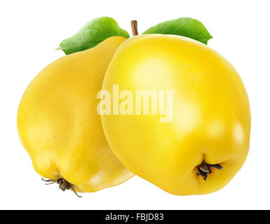 Due mele cotogne frutti isolati su bianco con tracciato di ritaglio Foto Stock