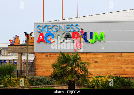 Skegness Aquarium, Lincolnshire, Regno Unito Foto Stock