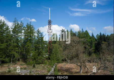 Montante di telecomunicazioni sulle altezze Claife Cumbria Foto Stock