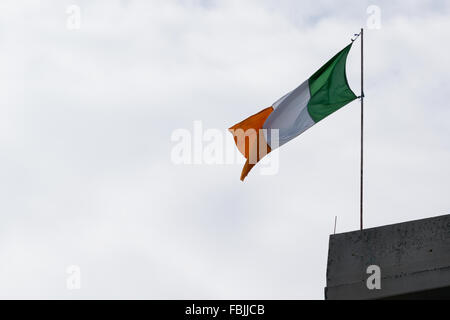 Un irlandese tricolore sventola dal repubblicano irlandese Lodge nuovi appartamenti zona di Belfast. Foto Stock