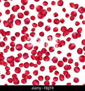 Scheda di San Valentino con petali di rose. EPS 10 Illustrazione Vettoriale