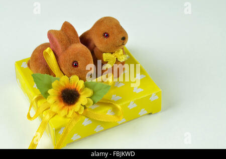 In prossimità di due conigli pasquali su un pacco giallo, orizzontale, macro, dettaglio lo spazio negativo, spazio di copia Foto Stock