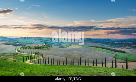 Fantastico soleggiato campo rientrano in Italia, Toscana paesaggio. Foto Stock