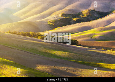 Fantastico soleggiato campo rientrano in Italia, Toscana paesaggio. Foto Stock