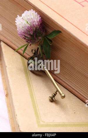 Retrò golden key su spessi e duri libro di copertura Foto Stock