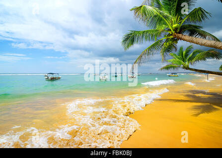 Barche in oceano vicino spiaggia di sabbia e palme Foto Stock