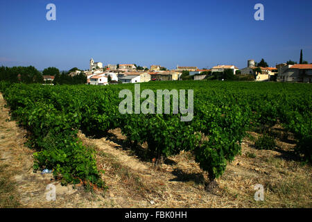 Vigneto in Provenza, ROCHEFORT FRANCIA Foto Stock