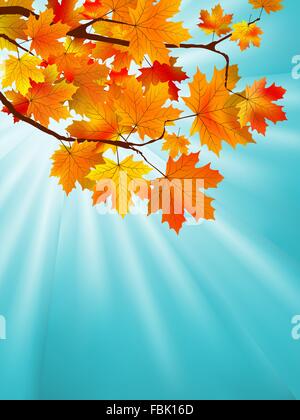 Rosso Giallo autunno Maple Leafs su sky. EPS 8 Illustrazione Vettoriale