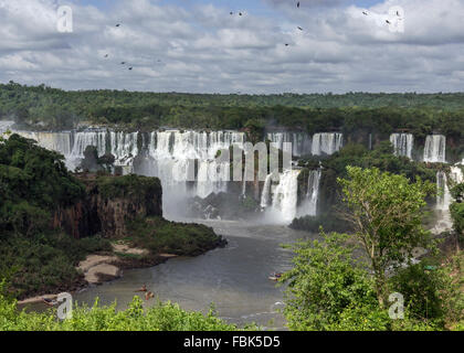 St Martin's scende con grande dusky rondoni, Foz do Iguazu, Brasile Argentina confine Foto Stock