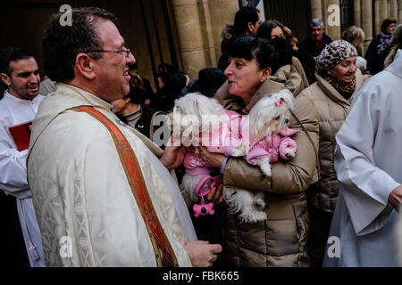 Pamplona, Spagna. Xvii gen, 2016. Un sacerdote benedice un cane a San Nicolas chiesa durante la festa di San Antonio, Spagna il patrono di animali, in Pamplona. Centinaia di devoti in Spagna celebrano il giorno del santo patrono di animali, Sant'Antonio, avendo i loro animali domestici beata a chiese locali da parte dei ministri. Un gruppo di praticanti si riuniranno presso la chiesa di San Nicola a Pamplona per la benedizione di un credito sessione: Mikel Cia Da Riva/Alamy Live News Foto Stock