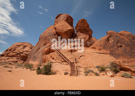 Passi fino Atlatl Rock per incisioni rupestri, arte indiana, il parco della Valle di Fire State, Nevada Foto Stock