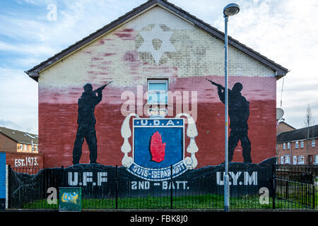 Ulster Freedom Fighters UFF e Ulster giovani militanti UYM murale di Dee Street, East Belfast, Irlanda del Nord. Foto Stock