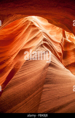 Slot Rattlesnake canyon, Pagina, Azizona Foto Stock