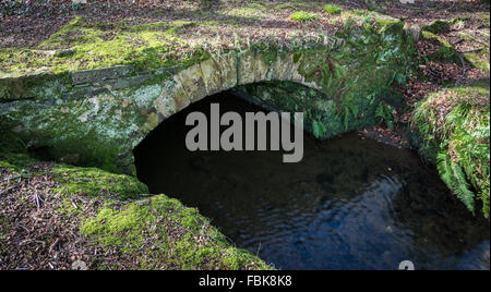 Flussi di acqua sotto il ponticello in pietra. Foto Stock
