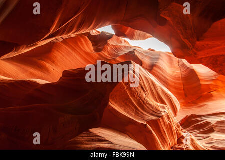 Gli ululati Wolf rock in Upper Antelope Canyon, Page Arizona Foto Stock
