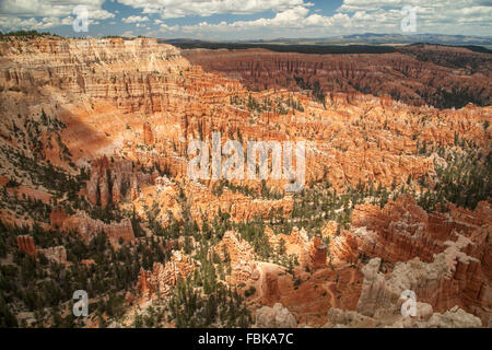 Parco Nazionale di Bryce Canyon, Utah, Stati Uniti d'America Foto Stock