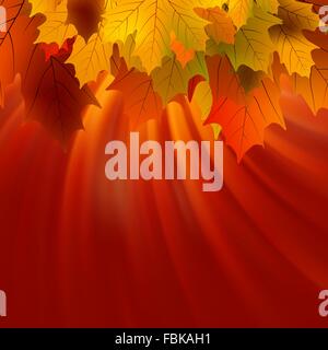 Autunnale di foglie di acero e luce solare. EPS 8 Illustrazione Vettoriale