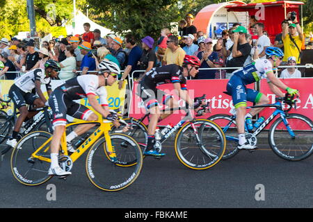 Adelaide, Australia. Xvii gen, 2016. Il giovane Australiano sensazione sprint Caleb Ewan (Orica bordo verde) ha tolto al popolo la scelta di Classic Adelaide East End di attraversamento della linea ben chiara di Giacomo Nizzolo (Trek Segafredo) e Adam Blythe (Tinkoff). People's Choice Classic Street Race, Tour Down Under. (Credit: Gary Francesco via filo di ZUMA) Credito: ZUMA Press, Inc./Alamy Live News Foto Stock