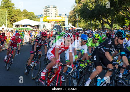 Adelaide, Australia. Xvii gen, 2016. Il giovane Australiano sensazione sprint Caleb Ewan (Orica bordo verde) ha tolto al popolo la scelta di Classic Adelaide East End di attraversamento della linea ben chiara di Giacomo Nizzolo (Trek Segafredo) e Adam Blythe (Tinkoff). People's Choice Classic Street Race, Tour Down Under. (Credit: Gary Francesco via filo di ZUMA) Credito: ZUMA Press, Inc./Alamy Live News Foto Stock