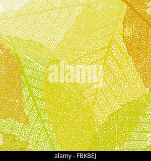 Modello di autunno di foglie di acero. EPS 8 Illustrazione Vettoriale