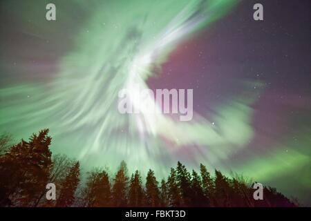 Luci del nord (Aurora Boreale) incandescente nel cielo notturno su un lago ghiacciato in Finlandia. Colori vibranti della corona è chiaramente v Foto Stock