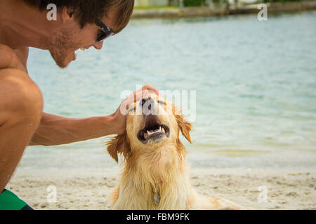 Uomo di accarezzare il golden retriever cane sulla spiaggia Foto Stock