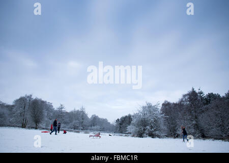 I membri del pubblico godono di slittare durante condizioni di neve, in Otley Chevin Forest Park, a Otley, West Yorkshire. Foto Stock