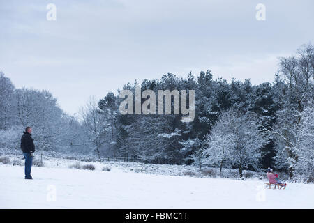 I membri del pubblico godono di slittare durante condizioni di neve, in Otley Chevin Forest Park, a Otley, West Yorkshire. Foto Stock