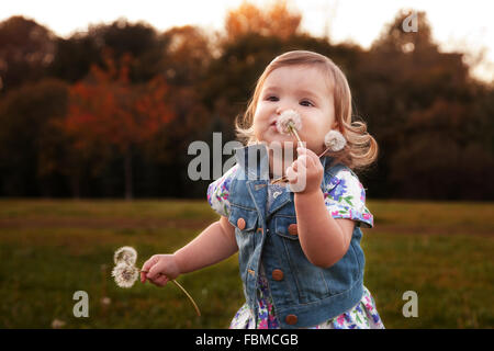 Ragazza con fiori di dente di leone Foto Stock