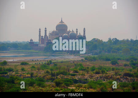 Taj Mahal visto da Agra Fort Agra, India Foto Stock