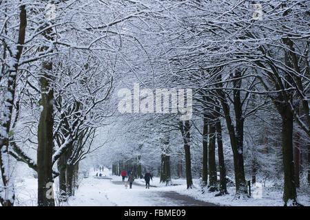 I membri del pubblico godere la neve, in Otley Chevin Forest Park, a Otley, West Yorkshire. Foto Stock