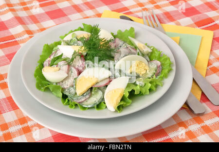 Insalata ravanelli e cetrioli in panna acida salsa con uovo Foto Stock