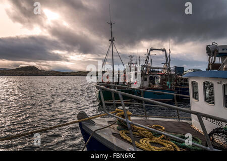 Pescherecci nel porto di Burtonport, Conty Donegal, Irlanda Foto Stock