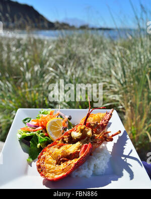 Gamberi di fiume ('aragosta piatto servito al fresco per mangiare in una strada laterale di stallo di pesce, Kaikoura Isola del Sud della Nuova Zelanda Foto Stock