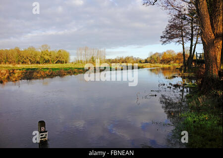 Una vista della parte superiore del fiume Bure in inverno a lama, vicino a Buxton, Norfolk, Inghilterra, Regno Unito. Foto Stock